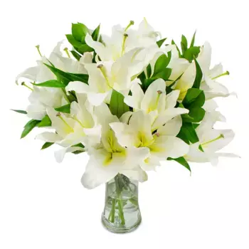 Букет из 11 белых лилий «Линда»