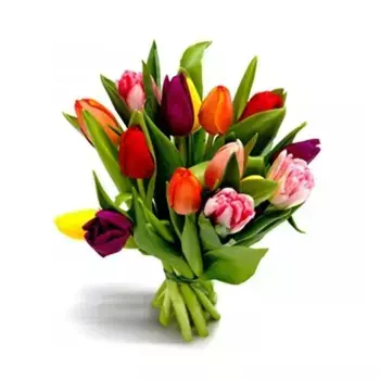 Букет из 11 разноцветных тюльпанов
