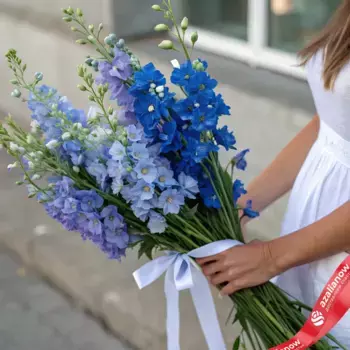 Букет из 11 синих дельфиниумов с белой лентой