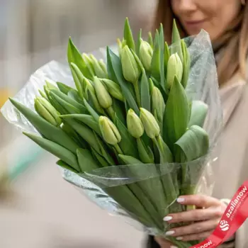 Букет из 11 зеленых тюльпанов в пленке, Россия