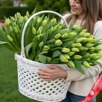 Букет из 151 зеленого тюльпана в корзине, Россия