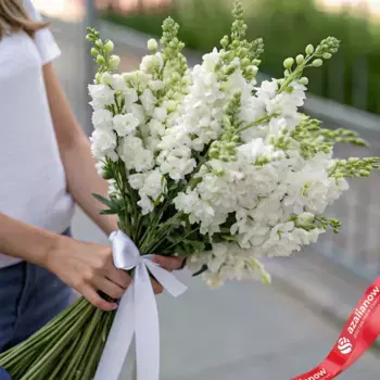 Букет из 15 белых дельфиниумов с белой лентой