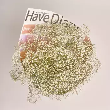 Букет из 15 белых гипсофил в газетной бумаге