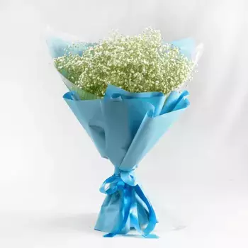 Букет из 15 белых гипсофил в голубой пленке