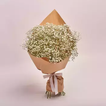 Букет из 15 белых гипсофил в крафте