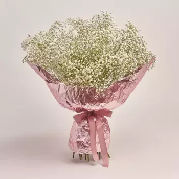 Букет из 15 белых гипсофил в розовой упаковке