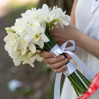 Букет из 15 белых нарциссов с белой лентой