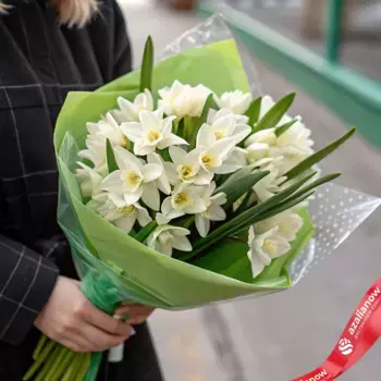 Букет из 15 белых нарциссов в зеленой пленке