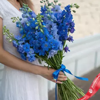 Букет из 15 голубых дельфиниумов с голубой лентой