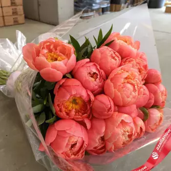 Букет из 15 коралловых пионов в пленке