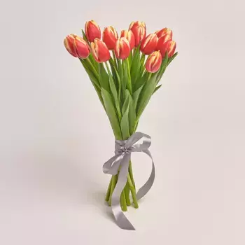 Букет из 15 красно-желтых тюльпанов с серой лентой