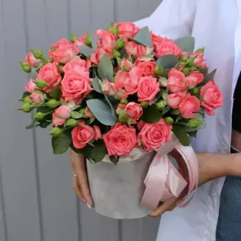 Букет из 15 кустовых коралловых роз в коробке