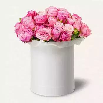 Букет из 15 кустовых розовых роз в коробке