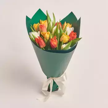 Букет из 15 пионовидных тюльпанов в зеленой бумаге