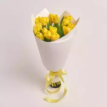 Букет из 15 пионовидных желтых тюльпанов в белой бумаге