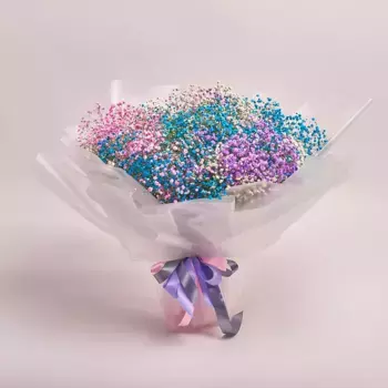 Букет из 15 радужных гипсофил в пленке