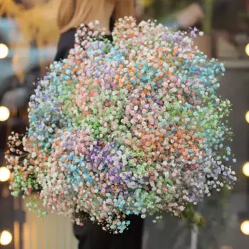 Букет из 15 разноцветных гипсофил