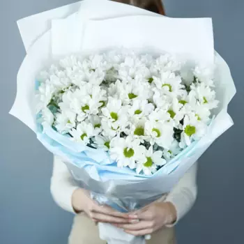 Букет из 15 ромашковых хризантем «Разговоры о любви»