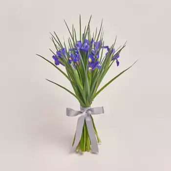 Букет из 15 синих ирисов с серой лентой