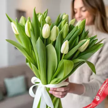 Букет из 15 зеленых тюльпанов с лентой, Россия