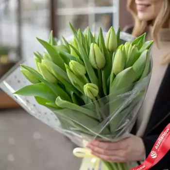 Букет из 15 зеленых тюльпанов в пленке, Россия