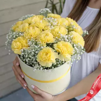Букет из 15 желтых гвоздик с гипсофилой в коробке