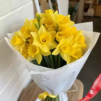Букет из 15 желтых нарциссов в белой пленке