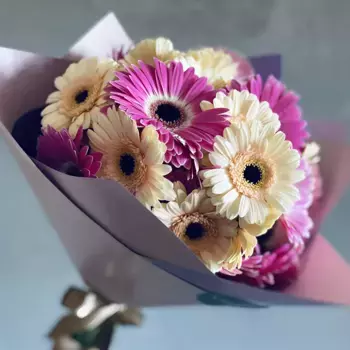 Букет из 17 розовых и желтых гербер в лавандовой бумаге