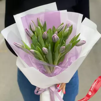 Букет из 17 сиреневых тюльпанов в белой упаковке