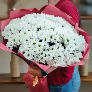 Букет из 19 белых кустовых ромашковых хризантем