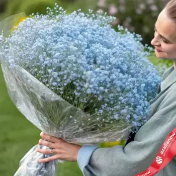 Букет из 19 голубых гипсофил в пленке