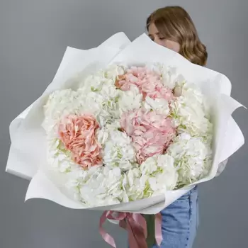 Букет из 19 гортензий «Удивляй в бело-розовых тонах»
