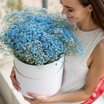 Букет из 19 синих гипсофил в белой коробке