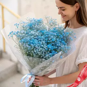Букет из 19 синих гипсофил в пленке
