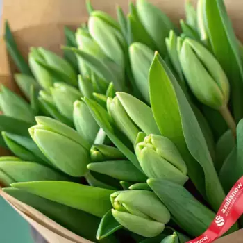 Букет из 19 зеленых тюльпанов в крафте, Россия