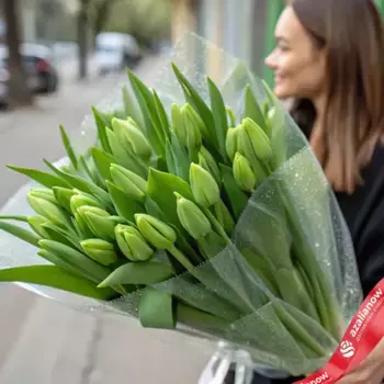 Букет из 19 зеленых тюльпанов в пленке, Россия