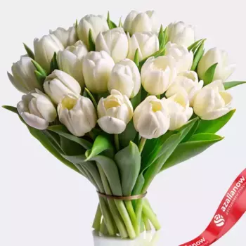 Букет из 20 белых пионовидных тюльпанов, Голландия