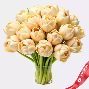 Букет из 20 бежевых пионовидных тюльпанов, Голландия