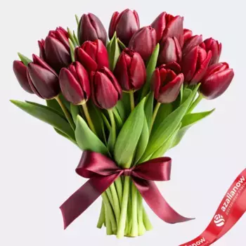 Букет из 20 бордовых тюльпанов, Россия