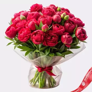 Букет из 20 красных пионов в пленке