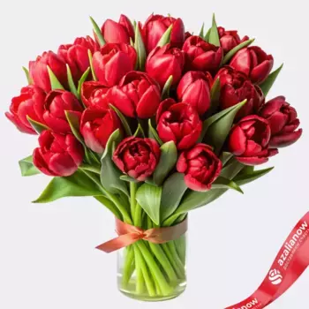 Букет из 20 красных пионовидных тюльпанов, Голландия