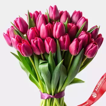 Букет из 20 малиновых тюльпанов, Россия