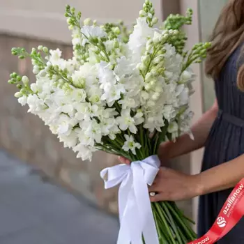 Букет из 25 белых дельфиниумов с белой лентой
