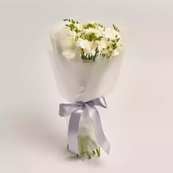 Букет из 25 белых фрезий в белой пленке