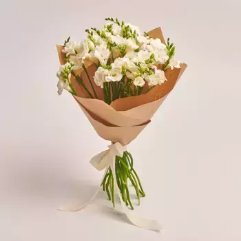 Букет из 25 белых фрезий в крафте с лентой