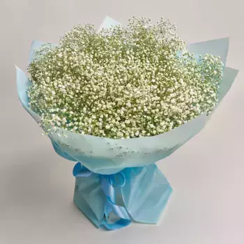 Букет из 25 белых гипсофил в голубой пленке