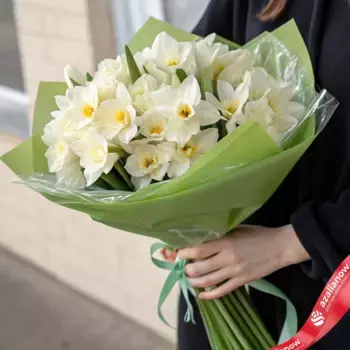 Букет из 25 белых нарциссов в зеленой пленке