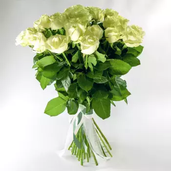 Букет из 25 белых роз «Спокойствие»