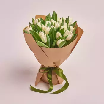 Букет из 25 белых тюльпанов «Проталина»