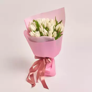 Букет из 25 белых тюльпанов в розовой пленке